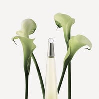 L'EAU D'ISSEY 100ml-67030 L'EAU D'ISSEY 100ml-67030 2